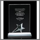 crystal silver star accents award