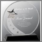 crystal round silver star award