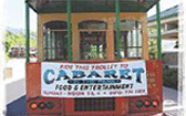 printed outdoor banner Gatlinburg trolley banner
